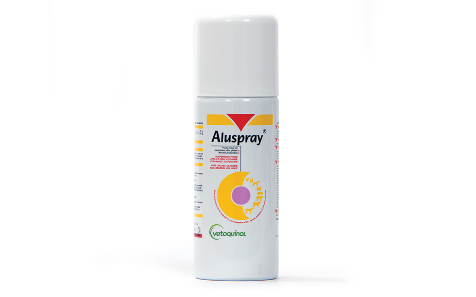 Aluspray (Aluminium Spray)