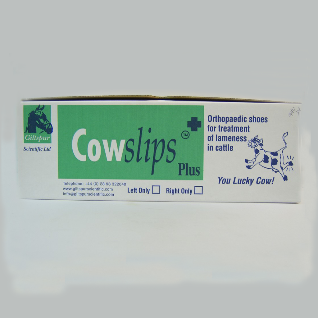 Cowslips Plus Left