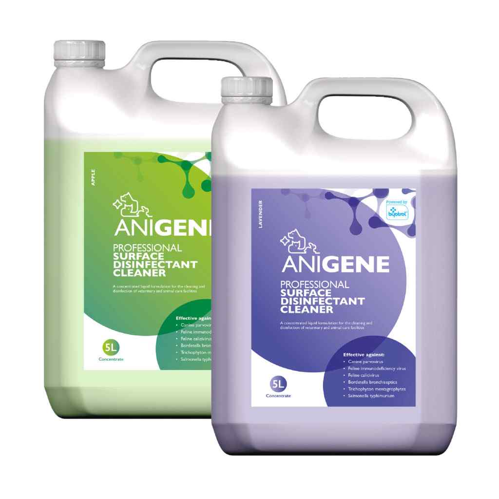 Anigene Professional Disinfectant Apple & Lavender