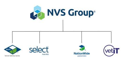 Introducing our new group identity – NVS Group