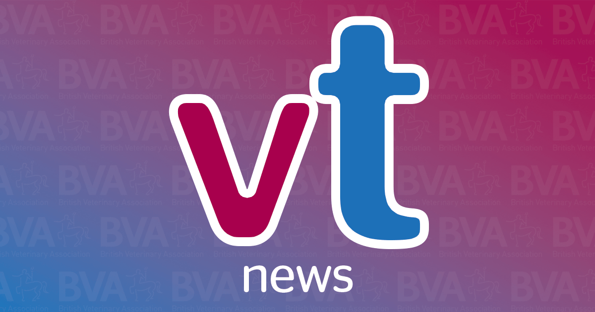 BVA seeks new committee members