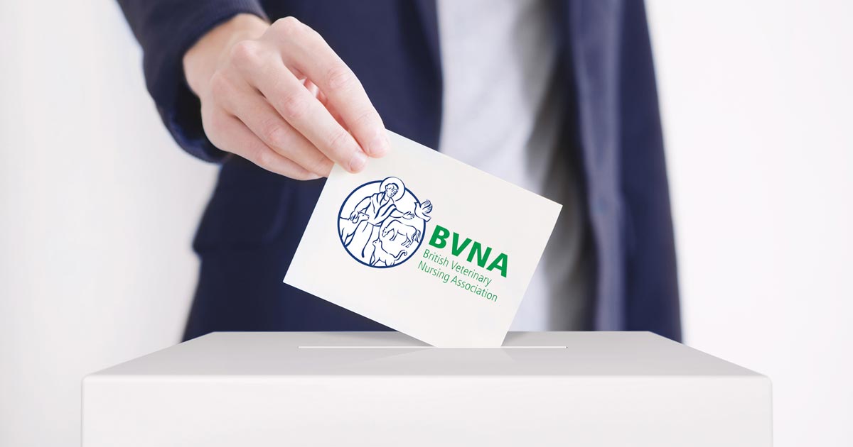 BVNA announces results of council elections