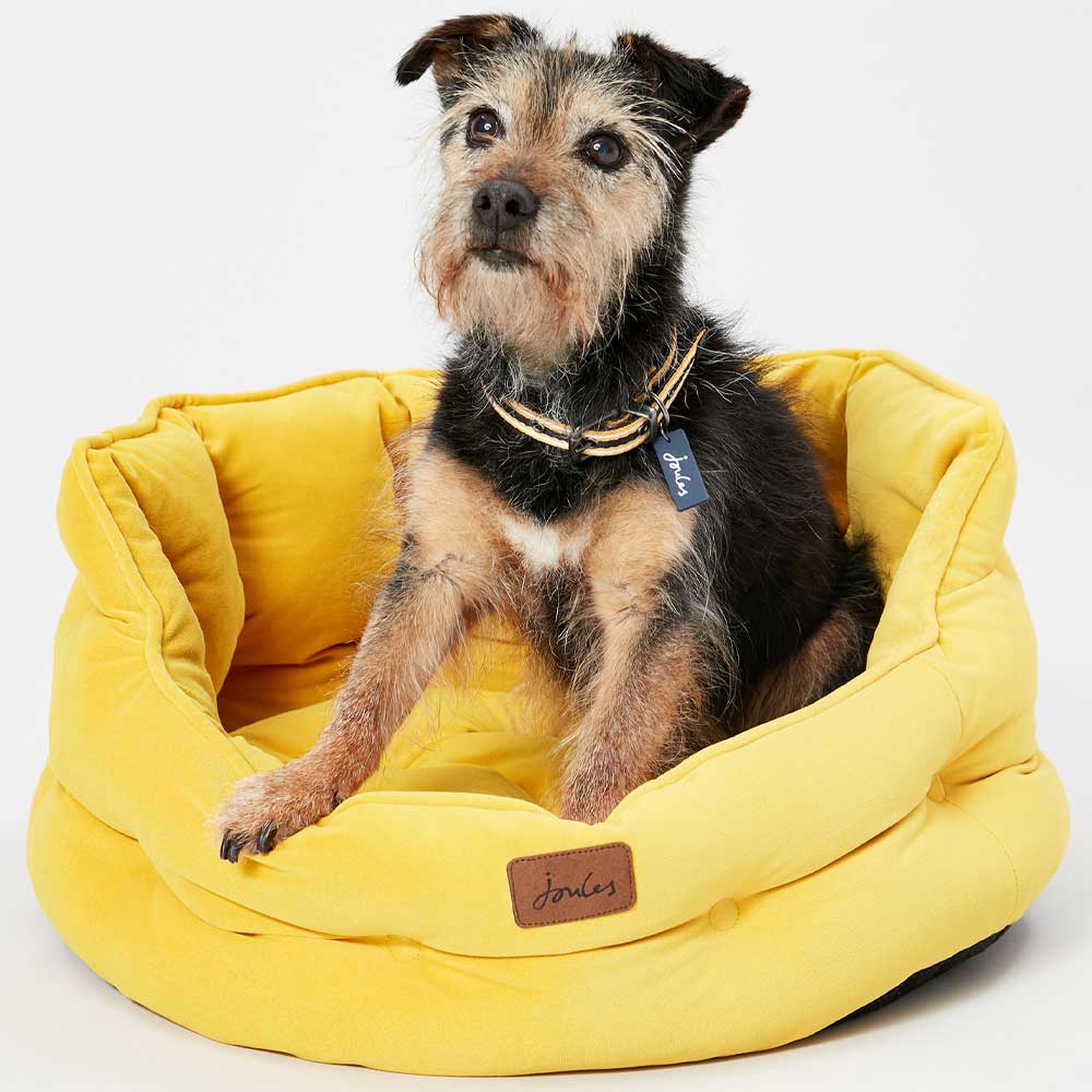 Joules Chesterfield Dog Bed