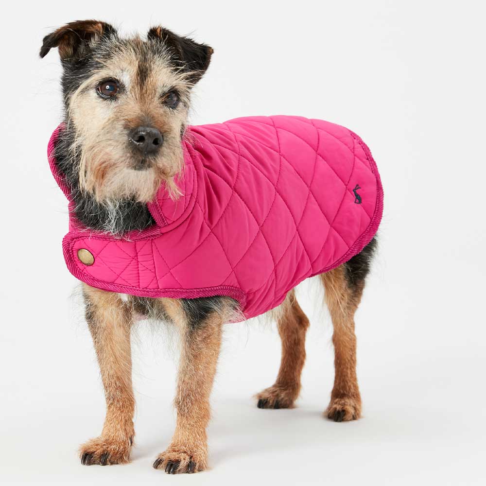 Joules Raspberry Dog Coat Quilted