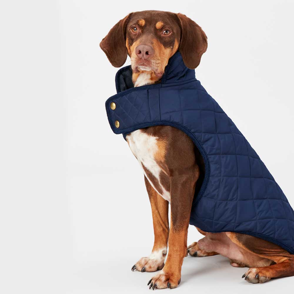 Joules Navy Quilted Dog Coat