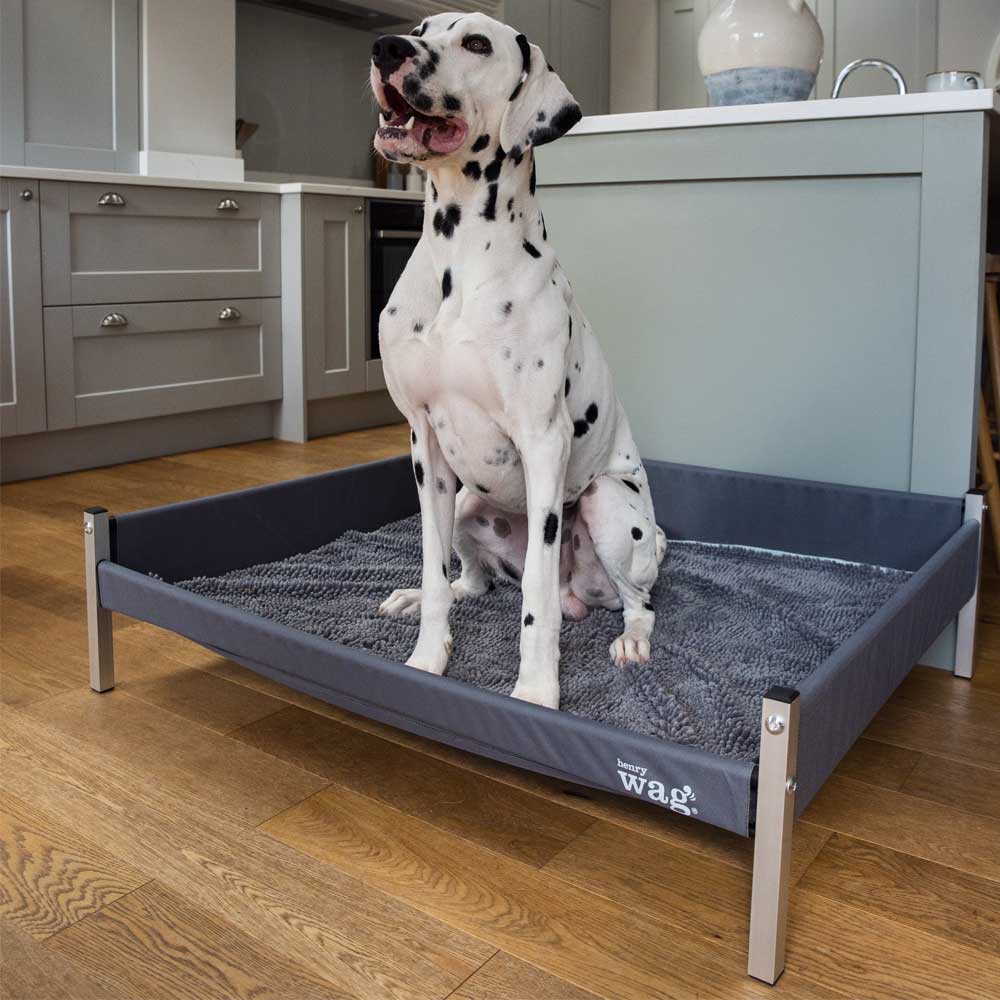 Henry Wag Elevated Bed