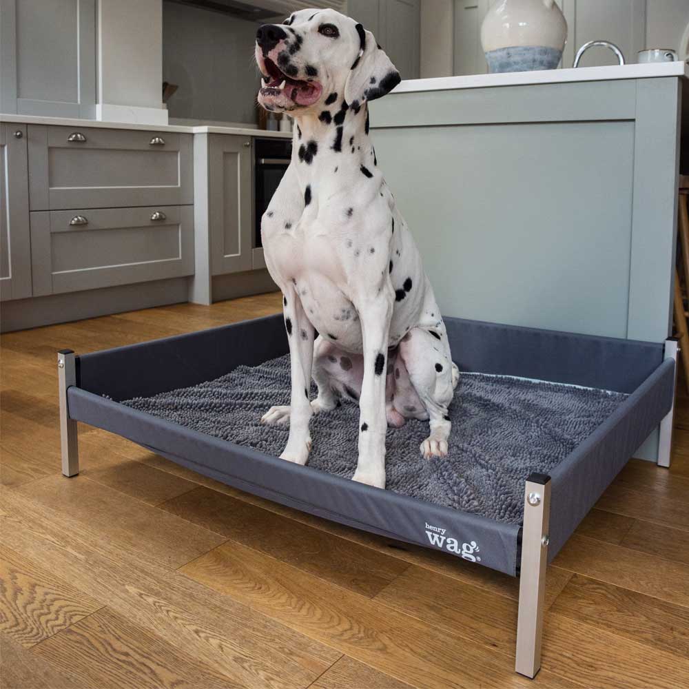 Henry Wag Elevated Bed National Veterinary Services