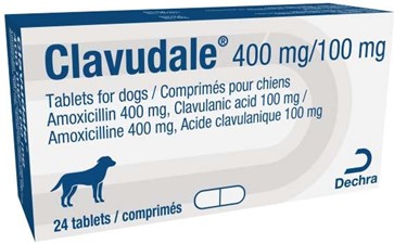 Product Recall – Clavudale 400 mg /100mg Tablets, PK24