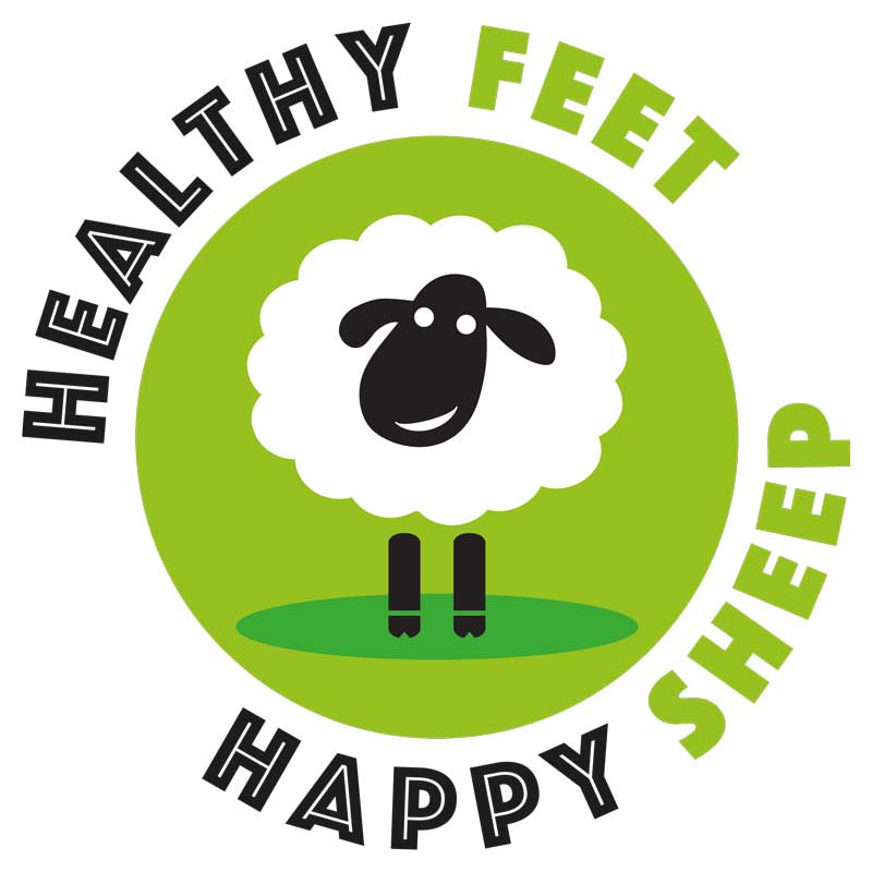 Healthy Feet Happy Sheep launches with cross-sector support