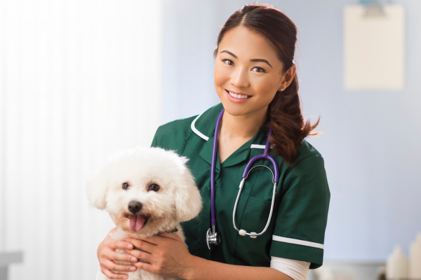 Opportunity for vet nurses to advance skills with ‘empowering’ new course