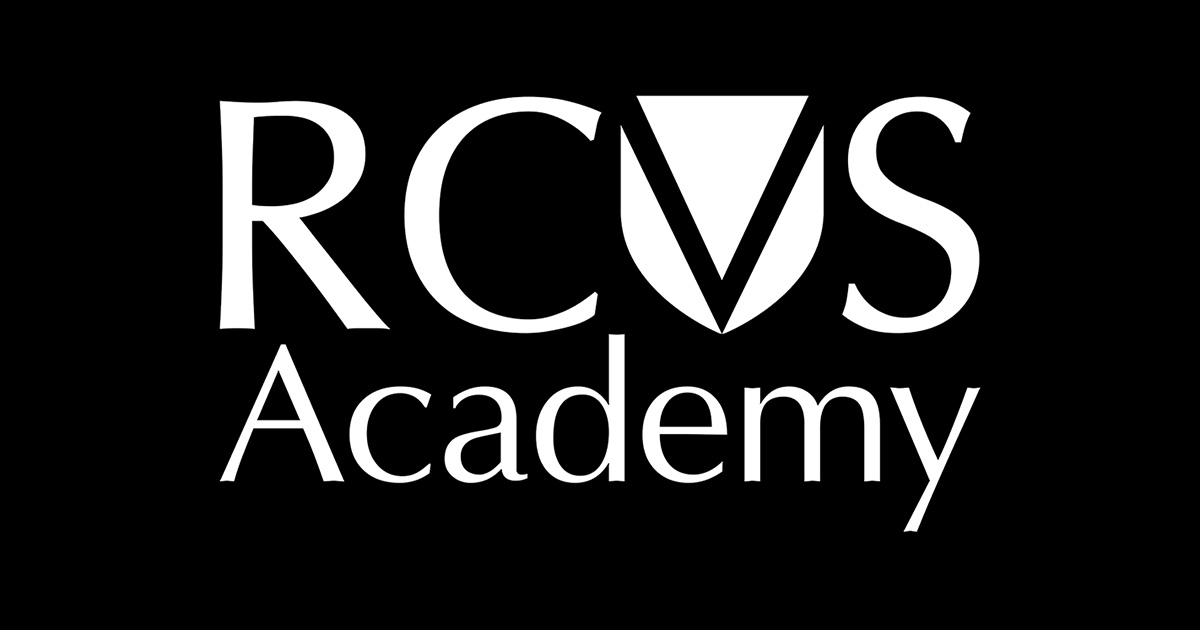 New RCVS Academy course launches to support vet nurse returners