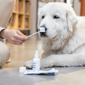 Dog Wipes, Liquids Rinses & Sprays