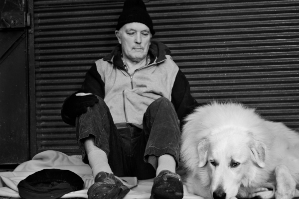 Homeless veterinary care scheme helps 10,000th dog