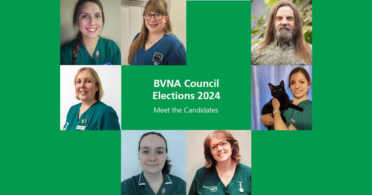 BVNA council election candidates confirmed