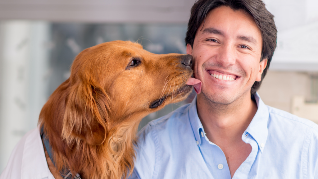 Halitosis in dogs and cats: causes and prevention