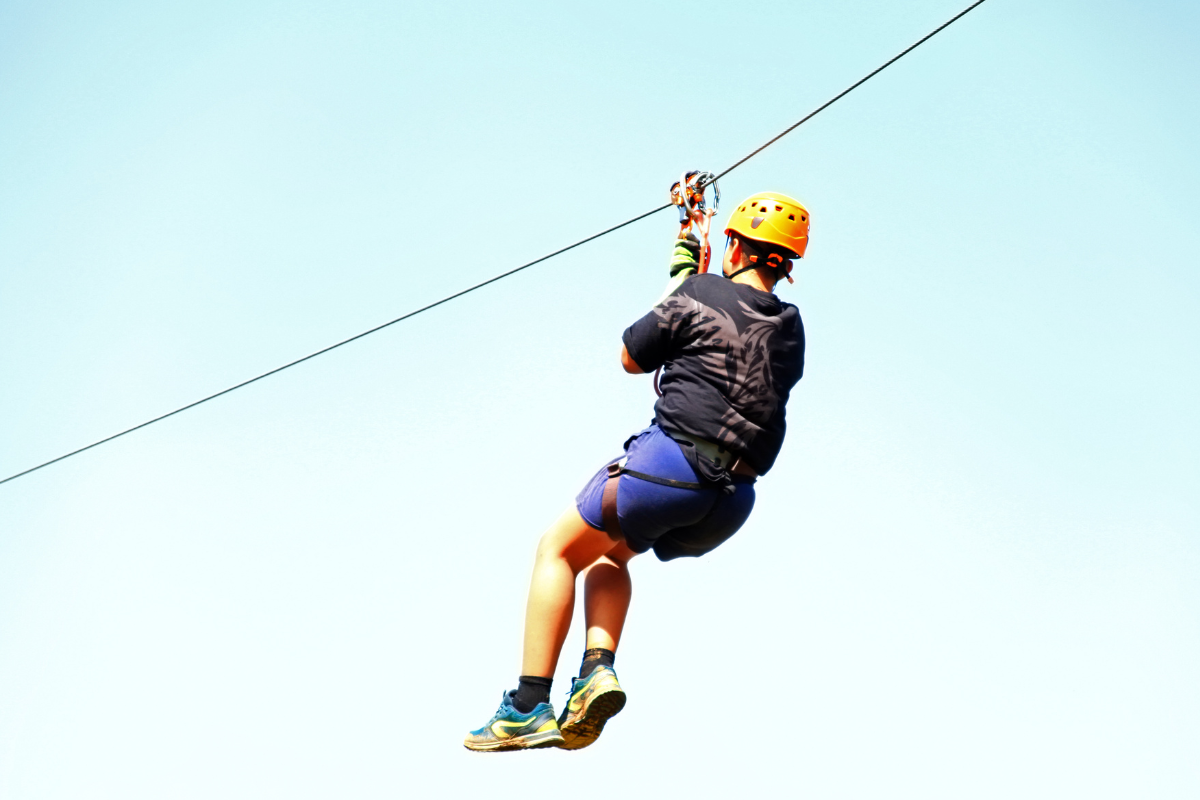 ‘All-time high’ service fear as Vetlife launches Active October