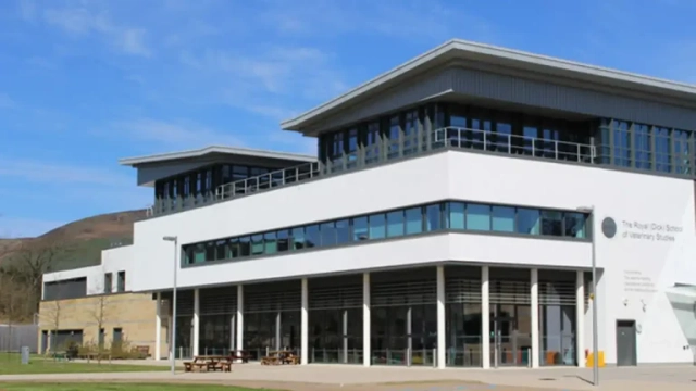 Royal Dick launches gastroenterology teleconsultation service