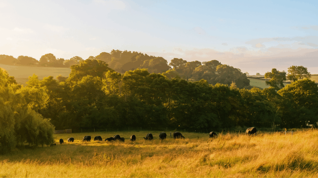 A season for new things at Vet Sustain