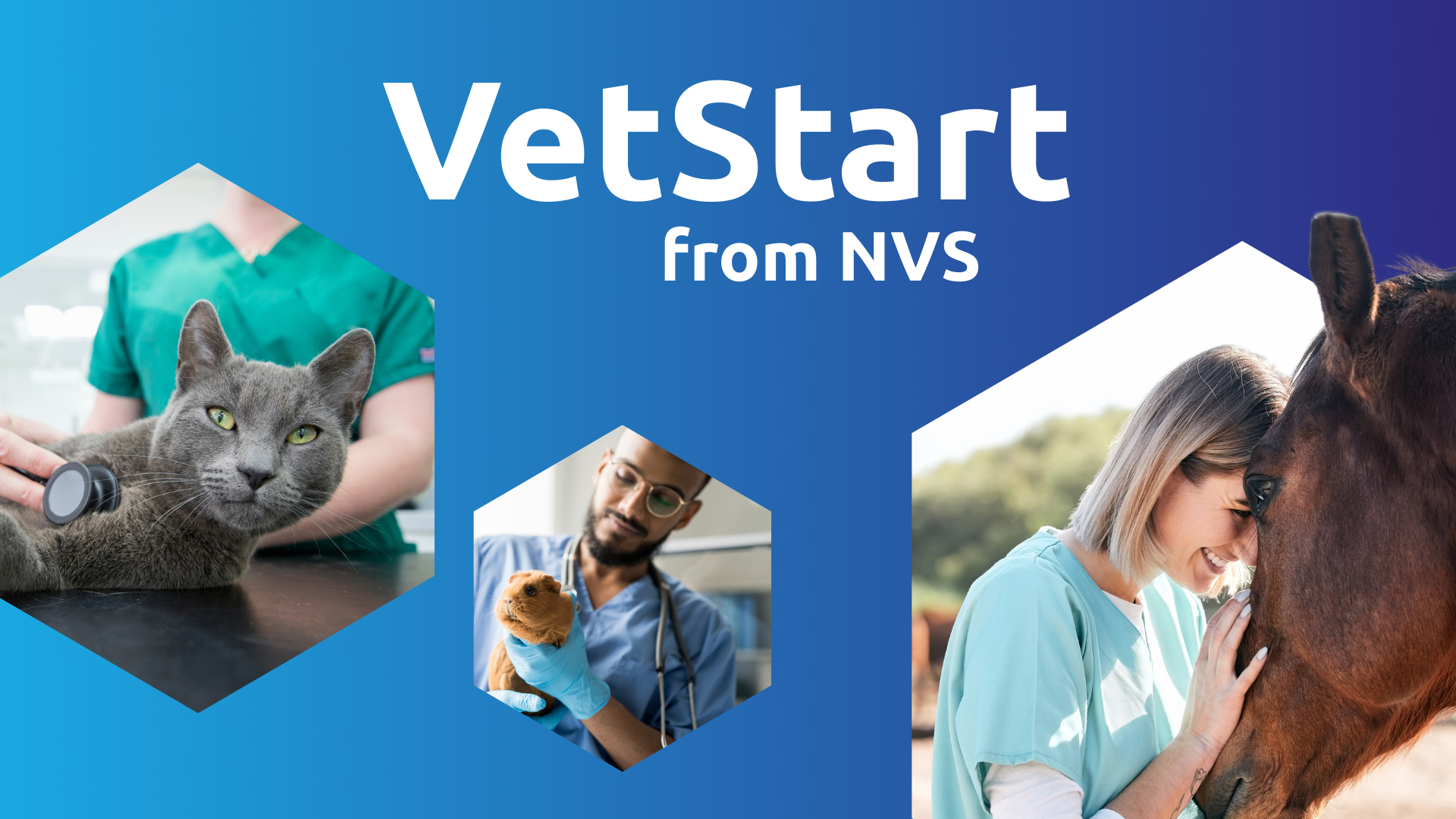 NVS Group successfully launches VetStart at the London Vet Show 2025