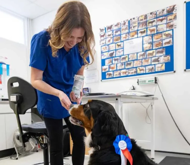 University of Liverpool obesity clinic celebrates 20 years
