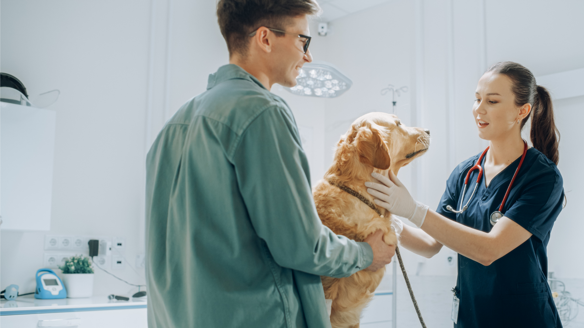 Faecal calprotectin: a non-invasive approach to diagnosing and monitoring gastrointestinal inflammation