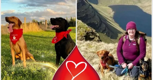 Charity hails CVS support for annual awards