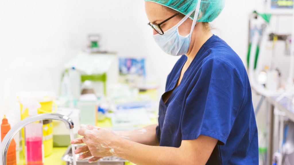 Why 4% Chlorhexidine remains a cornerstone of veterinary hygiene practice