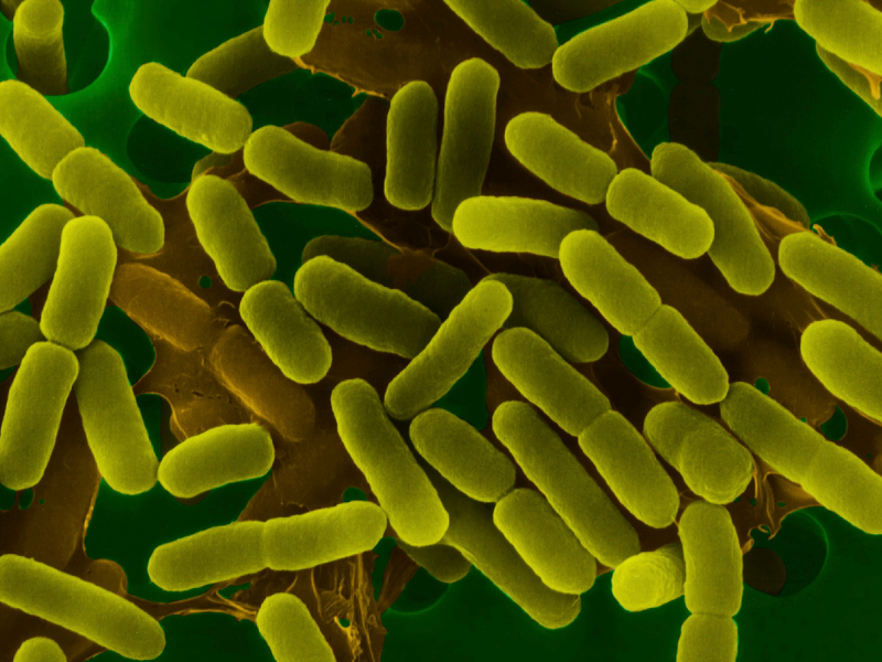 Charity marks 20th anniversary with infection control guideline launch