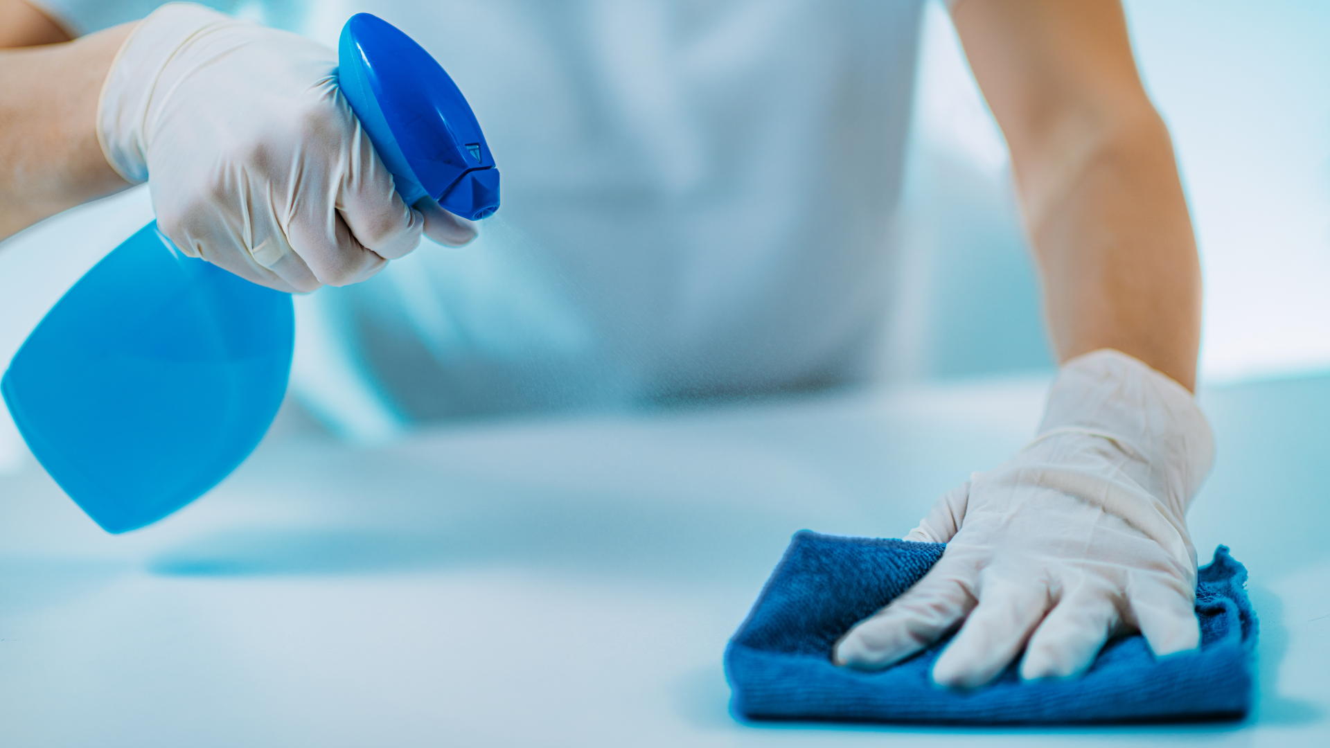 Why cleaning protocols matter in veterinary practice