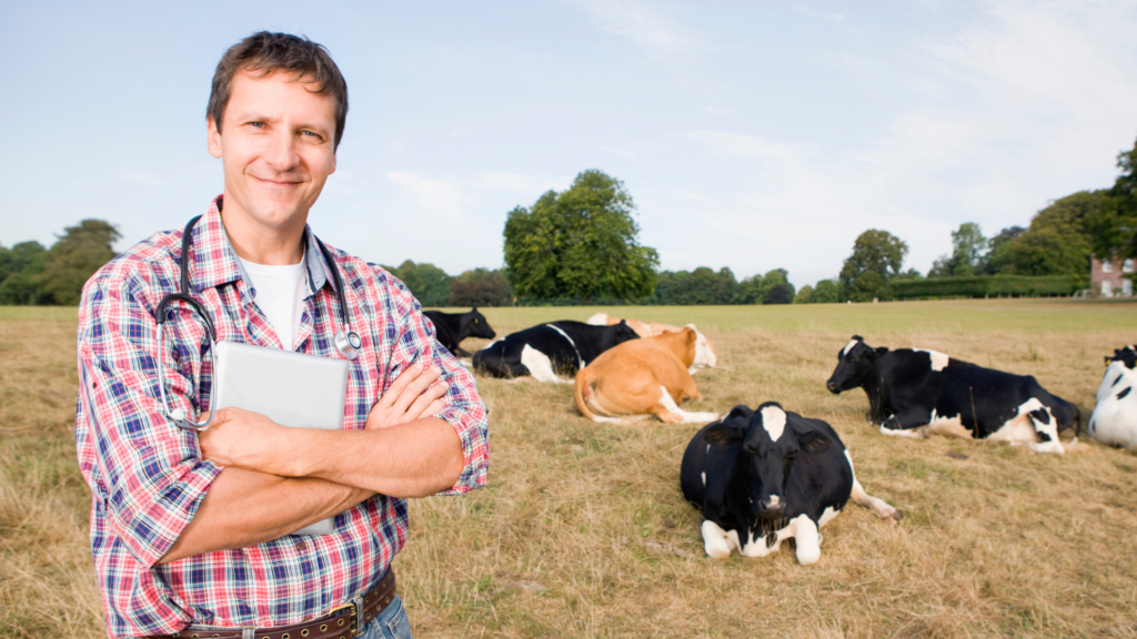 Resilience for veterinary business leaders: Tip #3 – Be purpose driven