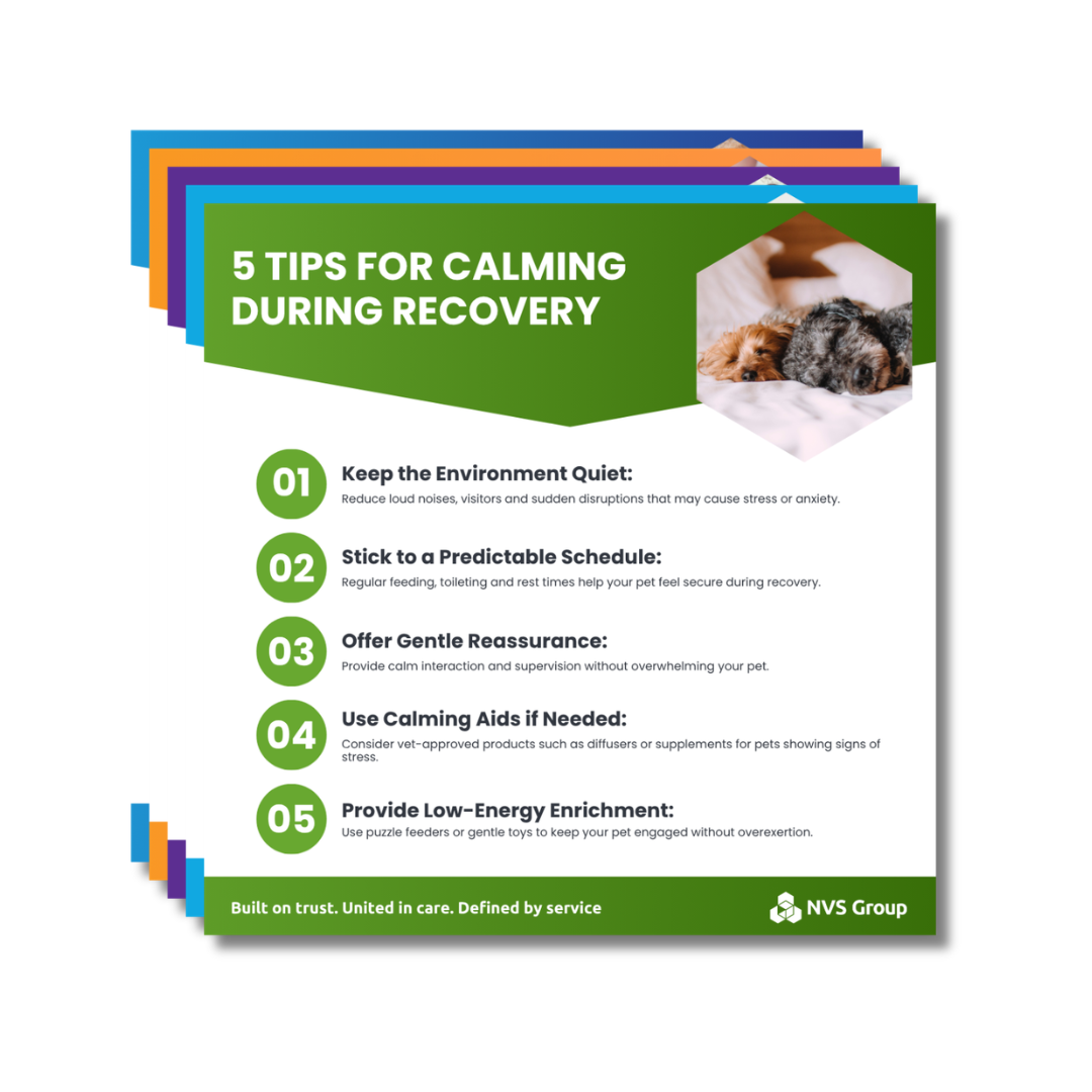 Pet Recovery - National Veterinary Services