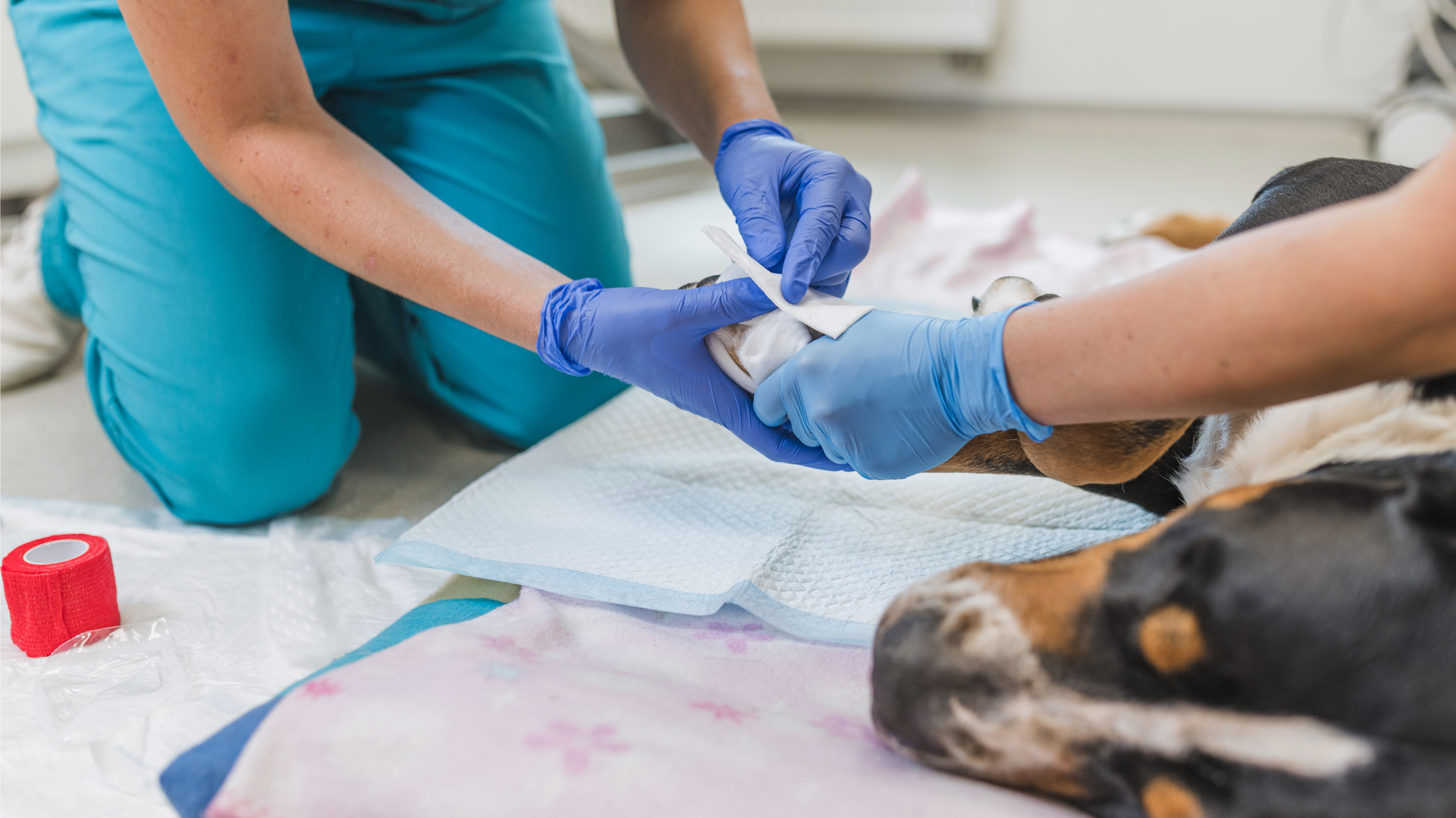 Supporting wound healing in practice: Small decisions, big outcomes