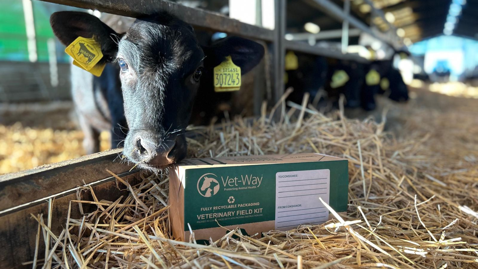 Sustainability profile: Vet-Way