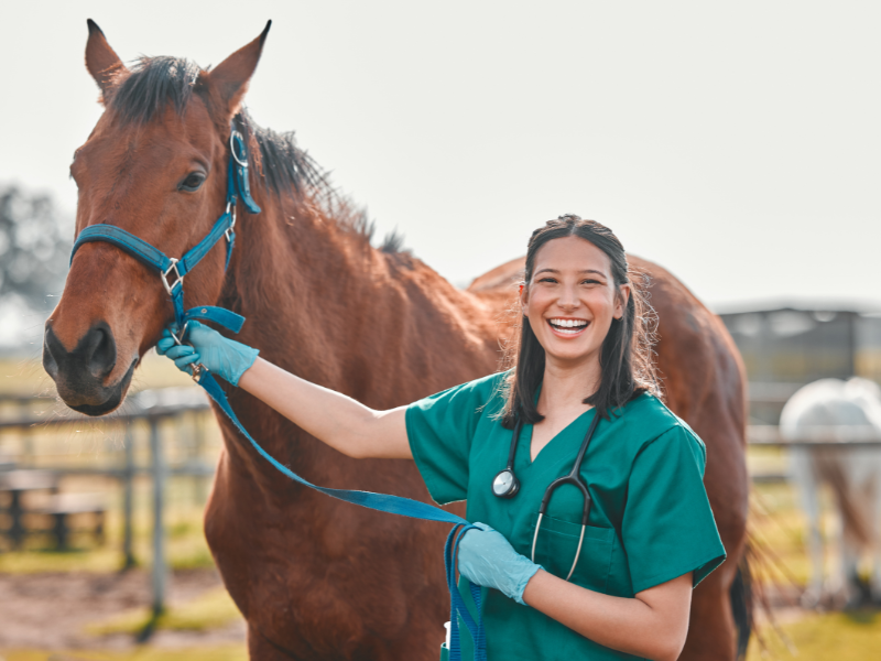 BEVA unveils dedicated congress nursing stream