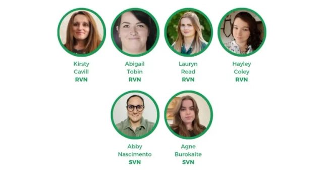 BVNA appoints new council members