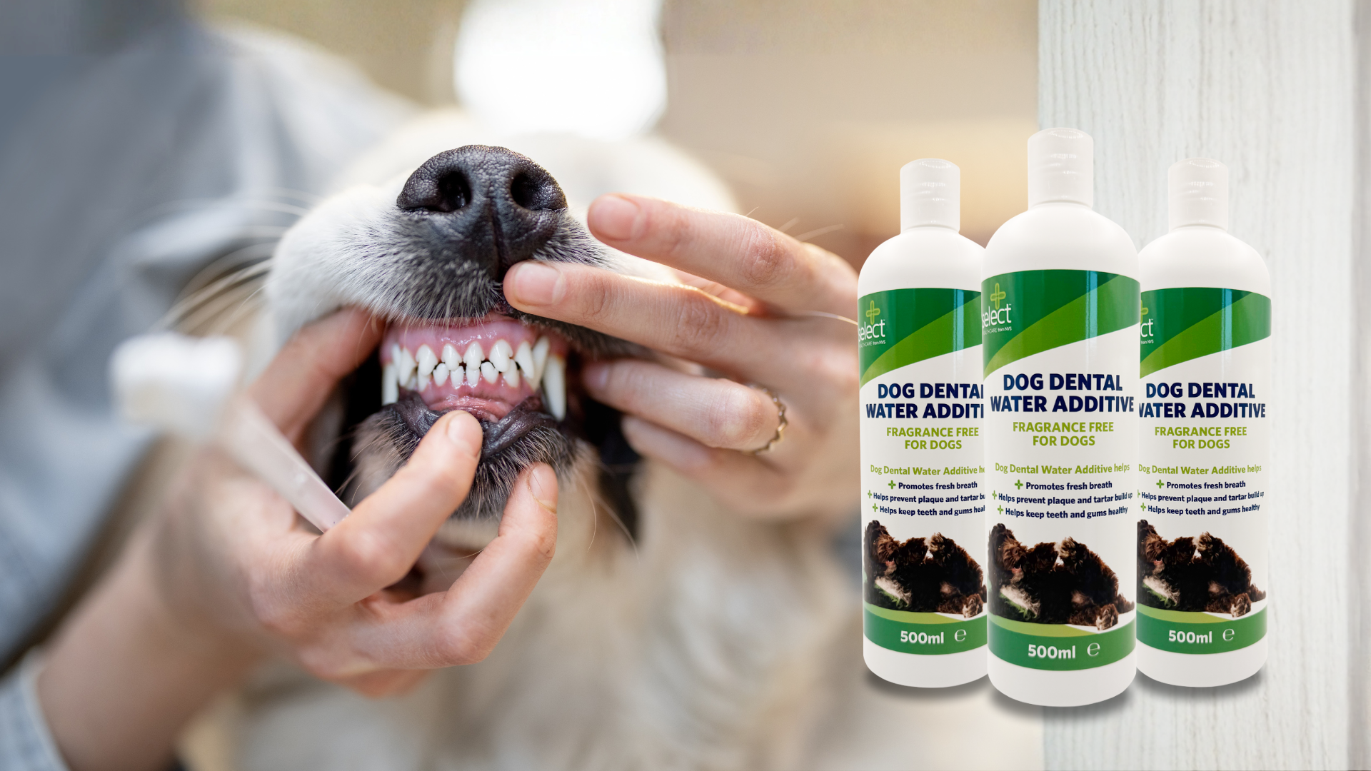 Select from NVS Dog Dental Water Additive: Daily oral care made simple