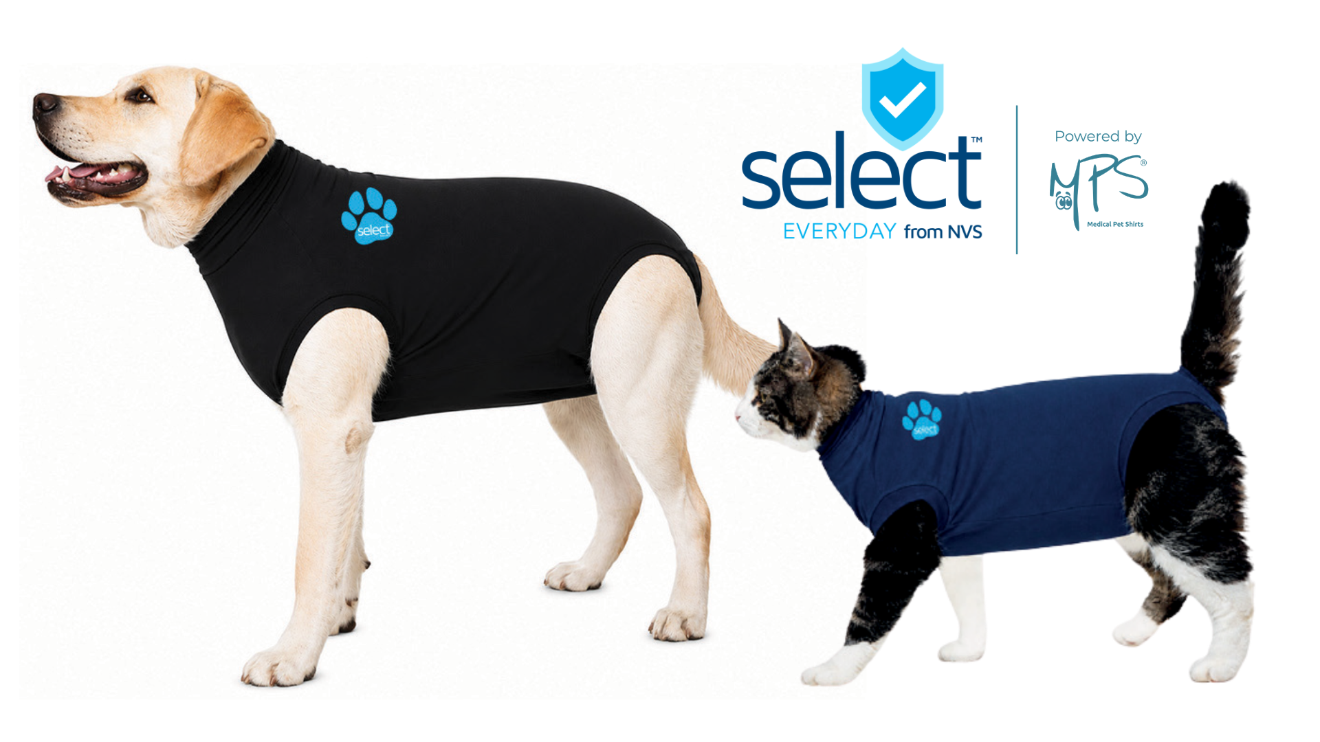 NVS introduces new Select from NVS Post-Operative and Recovery Pet Shirts